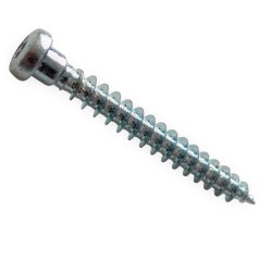 Vrut pro tesařské kování, půlkulatá hlava s osazením, torx 20, celý závit, ocel, zinek bílý, 4.8x45 mm
