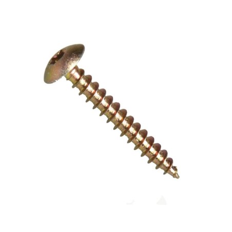Vrut se širokou půlkulatou hlavou, torx 30, ocel c1022, zinek bílý, 7.0x50 mm