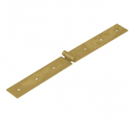 Závěs stavební 300x35x2,5 z300 a 